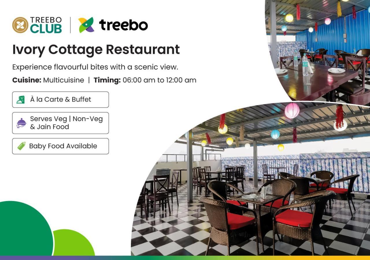 Treebo Rejoice 52 - 3Km From Huda City Metro Station Badshahpur Екстер'єр фото